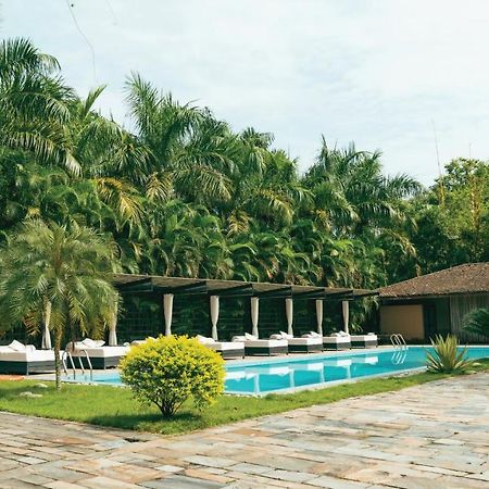 Kasara Chitwan Hotel Patlahara ภายนอก รูปภาพ