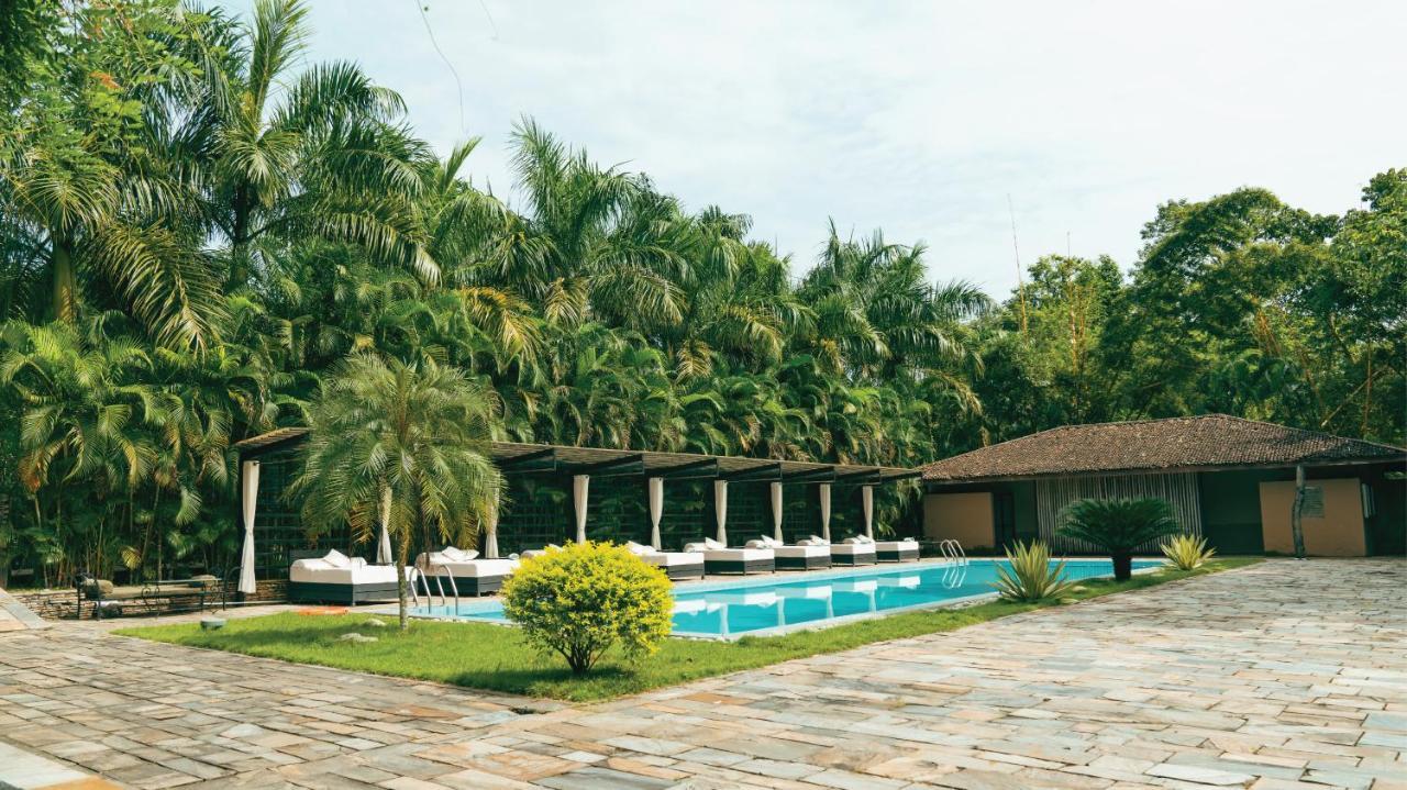 Kasara Chitwan Hotel Patlahara ภายนอก รูปภาพ